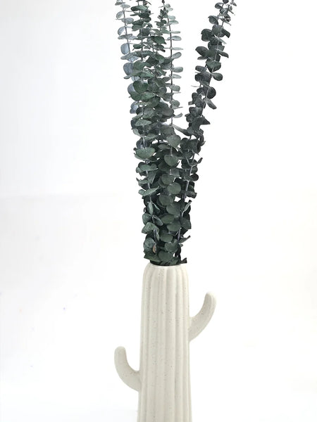 Baby Dollar Green (FS-14)